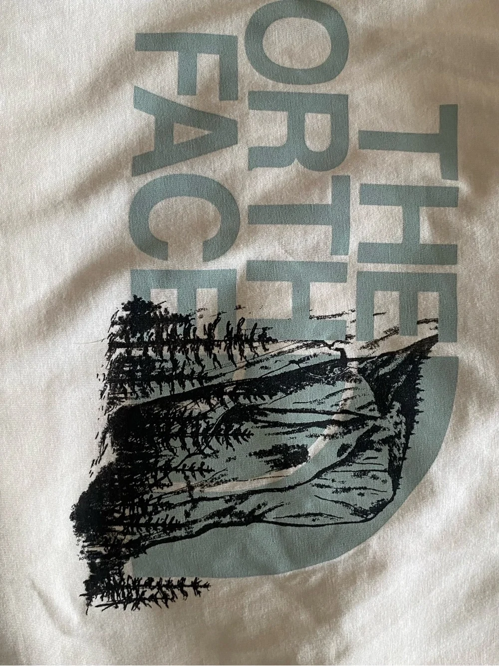 The North Face Women’s Cream Graphic Logo T-Shirt